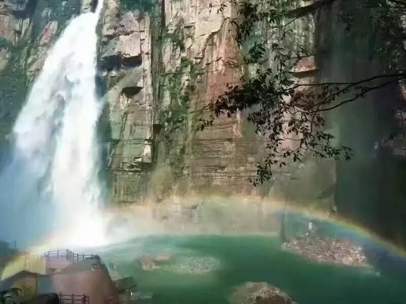 小猫钓鱼正版下载中文版